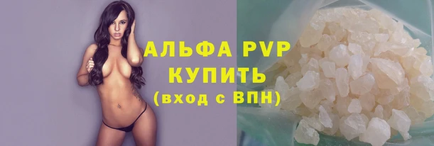 спиды Коряжма