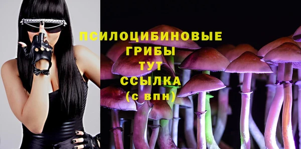 спиды Коряжма